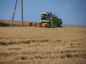 Claas Dominator 68