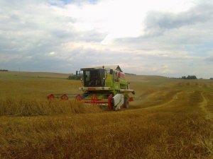 Claas Dominator 204 Mega