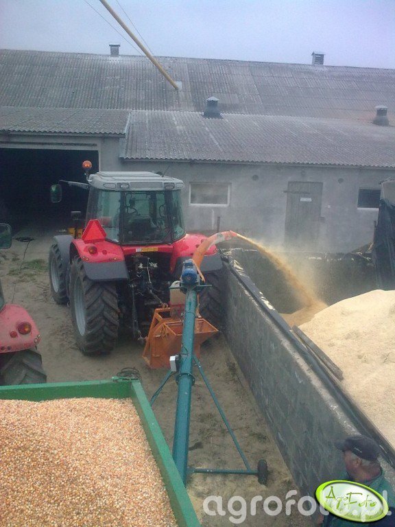 MF 6475 +rozdrabniacz kukurydzy