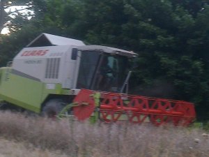 Claas Medion 310