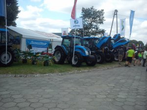 Landini