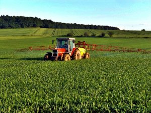 Massey Ferguson 3115 + Pilmet 1618