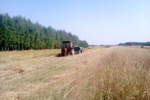 Massey Ferguson 255 + D 46