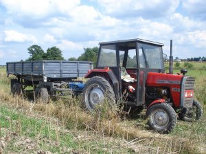 MasseyFerguson 255+Przyczepa