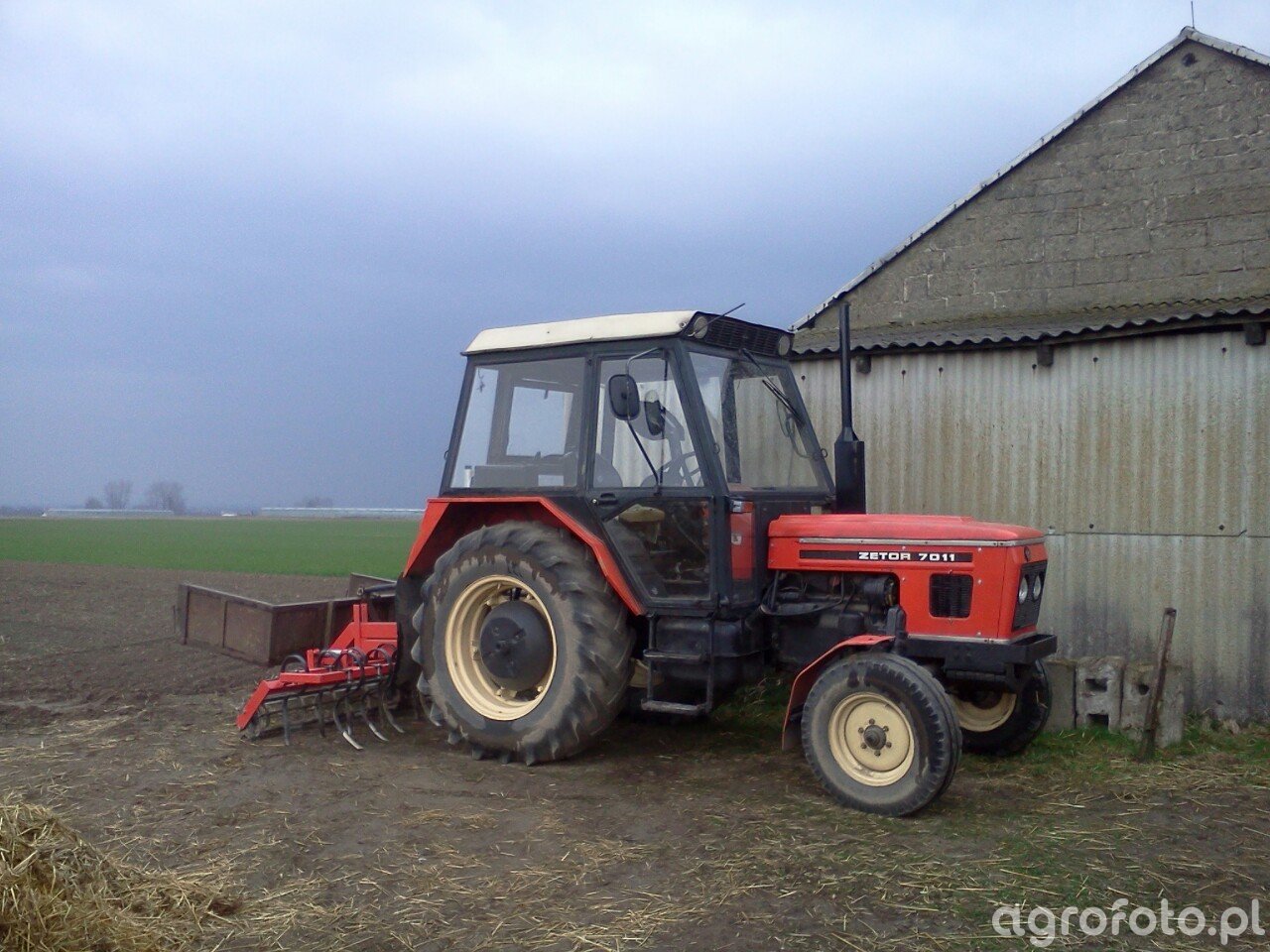 Fotografia ciagnik Zetor 7011 id:555200 - Galeria rolnicza agrofoto
