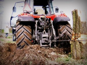 Massey Ferguson 6495