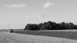 JD 6620