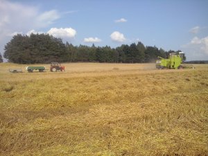 Claas Mercator 50 i C-360 3p + przyczepa + dwukółka