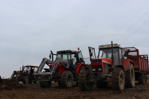 Massey Ferguson 5435