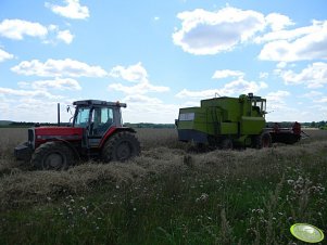 Massey Ferguson 3080