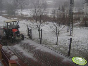 Massey Ferguson 255