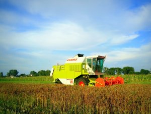 Claas Dominator 88 SL