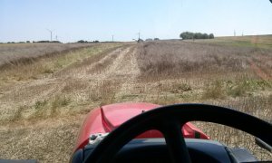 Zetor Forterra 11441 i Claas consul