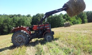 MF 255