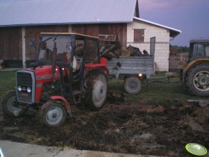 Massey Ferguson 255