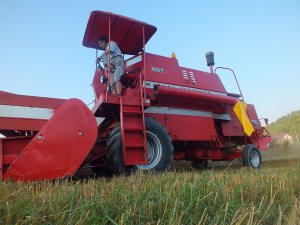 Massey Ferguson 507