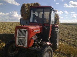 Ursus C-355