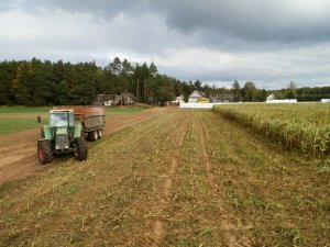 Fendt 614 LSA