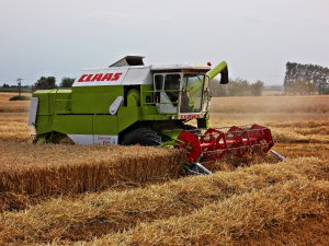 Claas Dominator 96