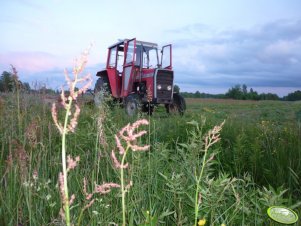 Massey Ferguson 265