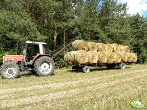 Massey Ferguson 3070