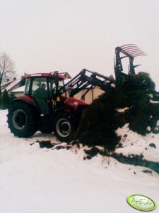 Case JX80 + Krokodyl