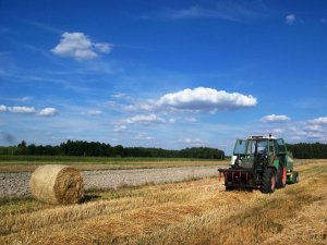 Fendt 310 LSA