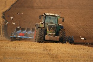 Fendt 930 + Lemken Vari-Diamant