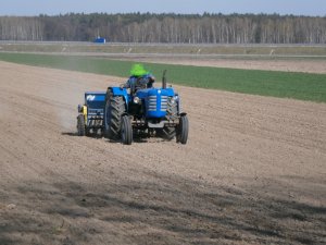 Zetor 3011 + Poznaniak