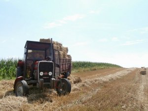 MF 255 + 1-ПТУ-4,0