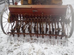 Grabki w siewniku zbożowym