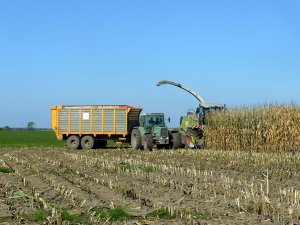 Fendt 615