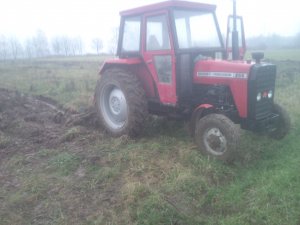 Massey ferguson 255