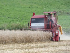 Massey Ferguson 507