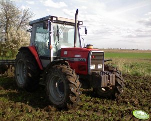 Massey Ferguson 3060 + kultywator 3m