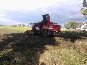 Grimme Rexor 620