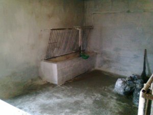 Stanowiska dla bydła