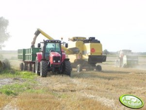 Massey Ferguson 6475 + przyczepy