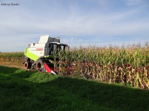 Claas Lexion 560