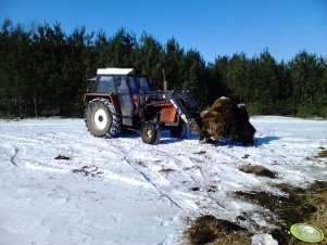 Zetor 8011 + Metal-Fach T-229