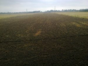 Ściernisko po uprawie agregatem Agro-Tom
