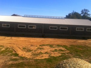 widok nowej obory od strony zachodniej