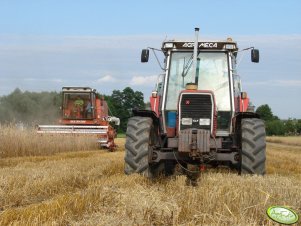 MF 3080  i Bizon