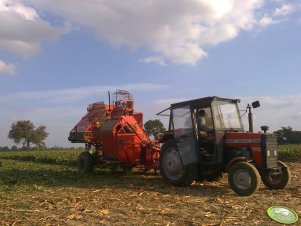 Massey Ferguson 255 i Neptun.