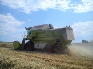 Claas Dominator 88s