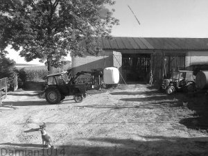 Ursus C-360 & Ursus C-330