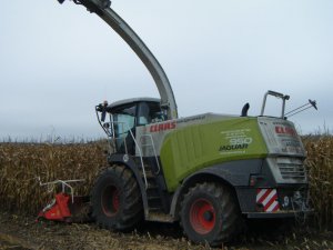 Claas Jaguar 950