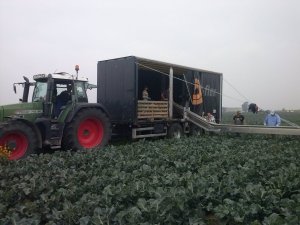 Fendt 714