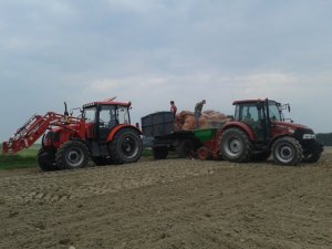 Farmer  F-8244 C2 + TUR6 + Autosan i Case Farmall 65 C + Remprodex