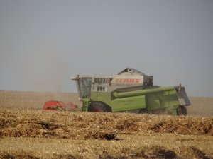 Claas Mega 360